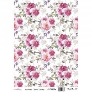 PİRİNÇ KAĞIT MODEL 608 30X42