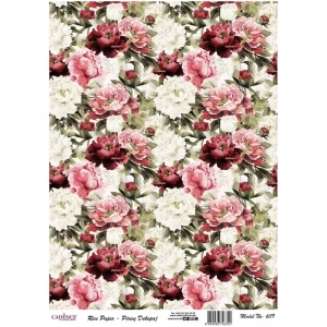 PİRİNÇ KAĞIT MODEL 609 30X42