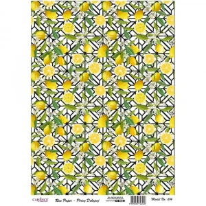 PİRİNÇ KAĞIT MODEL 614 30X42