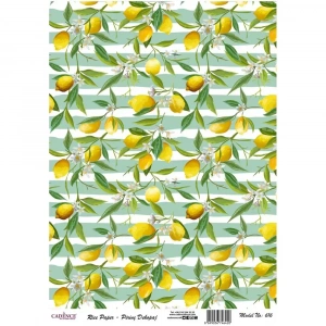 PİRİNÇ KAĞIT MODEL 616 30X42