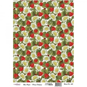 PİRİNÇ KAĞIT MODEL 620 30X42