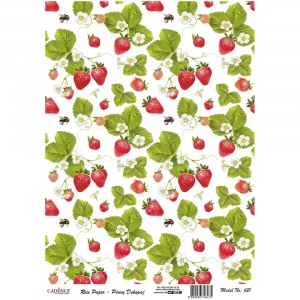 PİRİNÇ KAĞIT MODEL 621 30X42