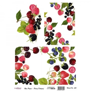 PİRİNÇ KAĞIT MODEL 624 30X42