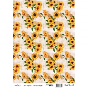 PİRİNÇ KAĞIT MODEL 649 30X42