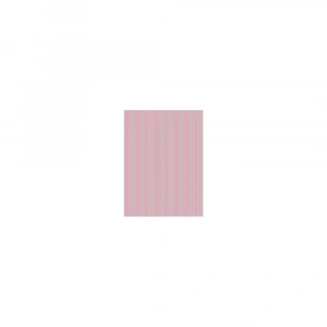 PİRİNÇ KAĞIT MODEL 91 30X42