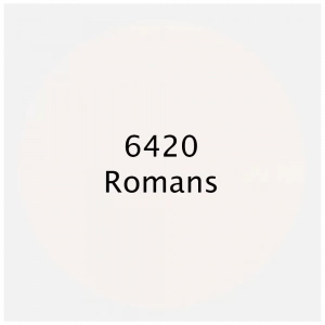 PREMIUM AKRİLİK BOYA 6420 ROMANS 500ML