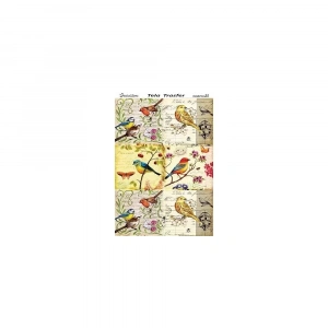 TELA TRANSFER MODEL-25 30X42