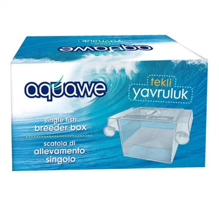 AGUAWE TEKLİ  BALIK YAVRULUK