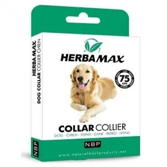 BRC-75 KÖPEK BOYUNLUK 2.5*55