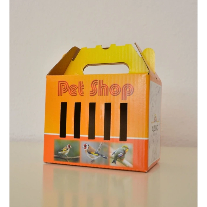 CANS RENKLİ ORTA BOY BOX