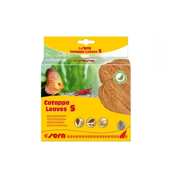 CATAPPA YAPRAĞI S BOY 8-12 CM