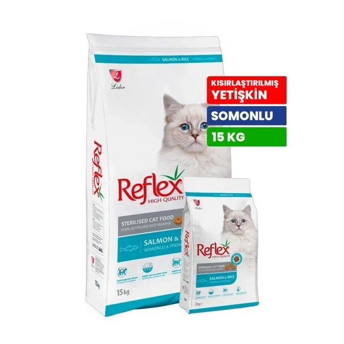 DECENT SOMONLU KISIR KEDİ 15 KG