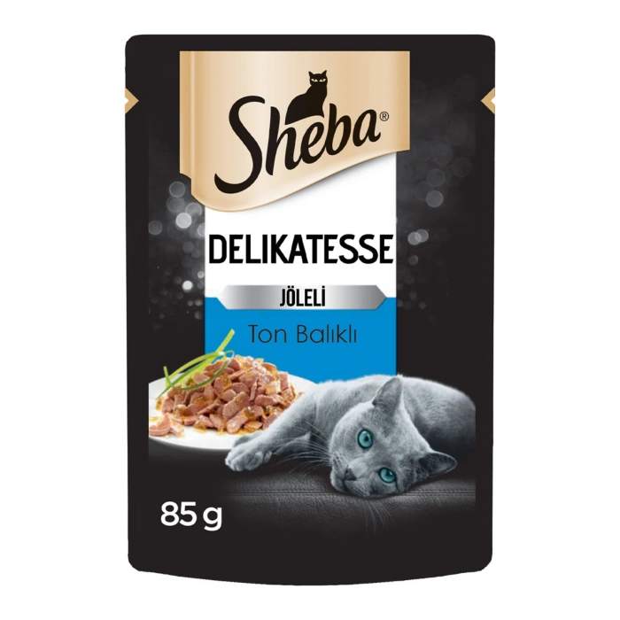 FELX TON BALIKLI YAŞ KEDİ MAMA 85 GR