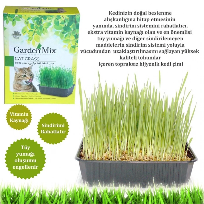 GARDENMIX KEDİ ÇİMİ