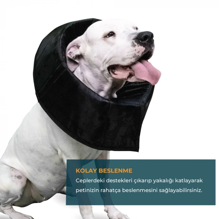 KÖPEK AĞIZLIK