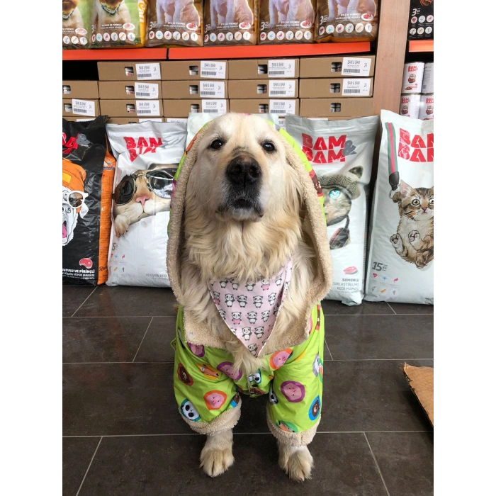KÖPEK KIYAFETİ