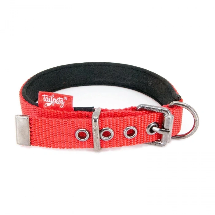 KÖPEK KOLYESİ