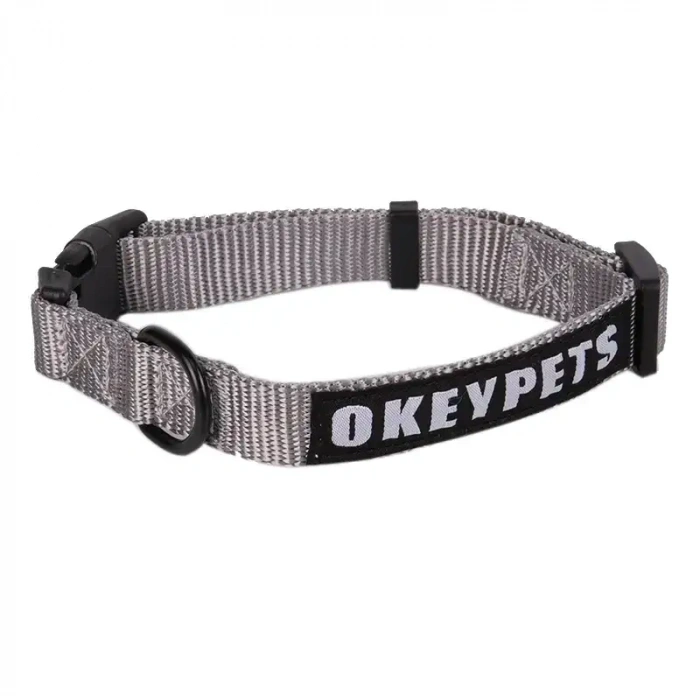 KÖPEK KOLYESİ
