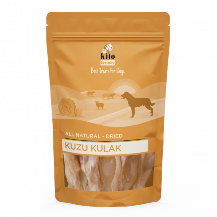 KURTLUK