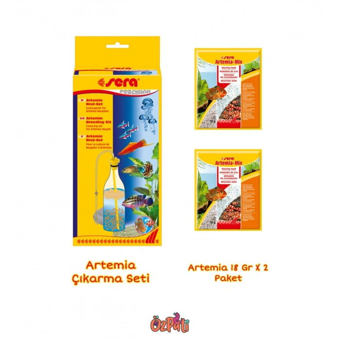 MEÇ ARTEMİA ÇIKARTMA SETİ
