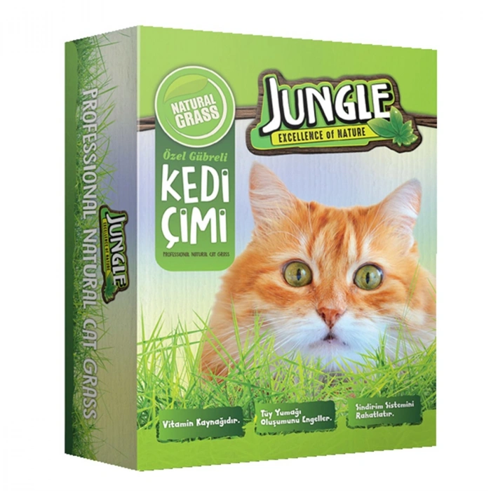 SİNGLE KEDİ ÇİMİ