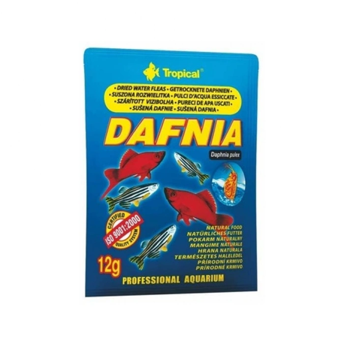 TROPICAL DAFNIA 18 GR