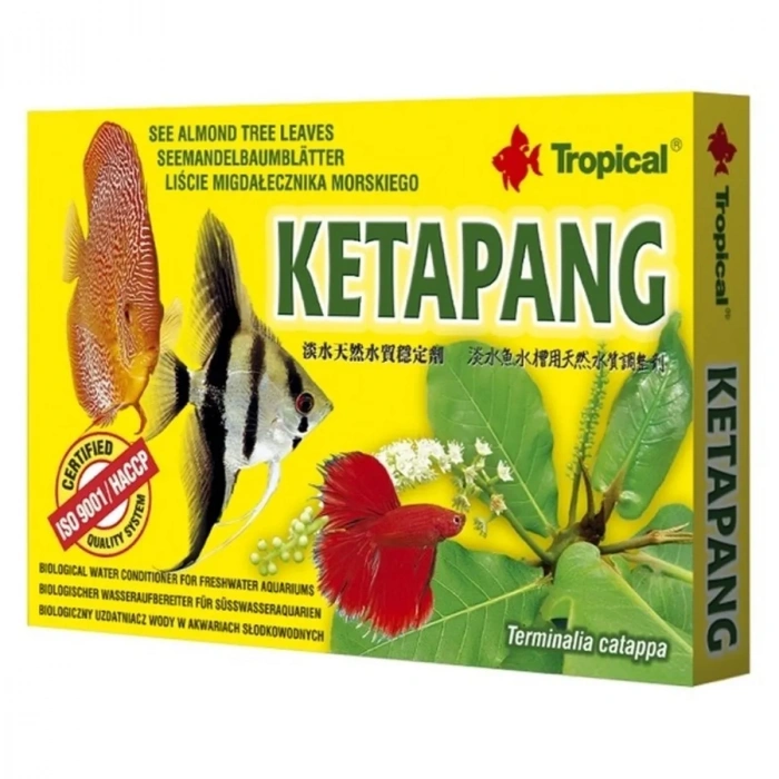 TROPICAL KETAPANG 30 ML
