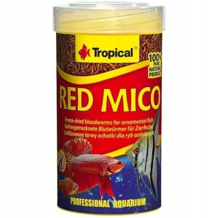 TROPICAL RED MICO(KAN KURDU)