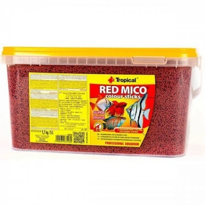 TROPICAL RED MICO(KAN KURDU)