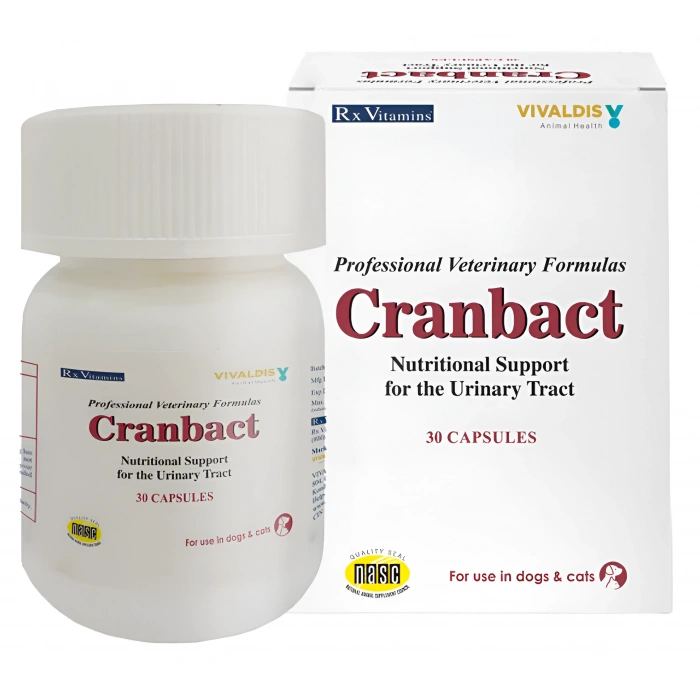TUBERCATALUM