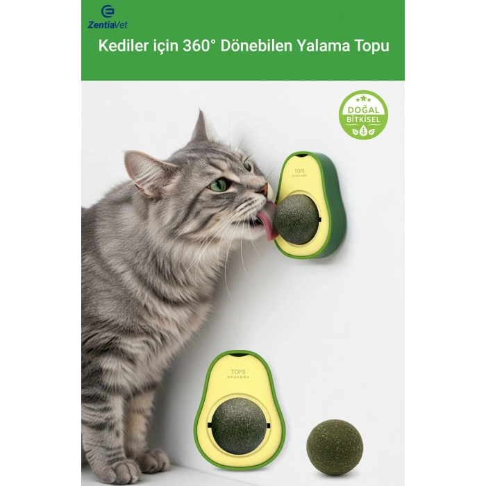 YENİLEBİLİR YALAMA AVOKADO
