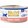 CANS MEAT PASTE TAVUK VE SOMON 100 GR