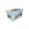 CANS RENKLİ ORTA BOY BOX