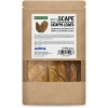 CATAPPA YAPRAĞI L BOY 16-20 CM