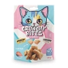 CRUNCHY BITES KEDİ BİSKÜVİ SOMONLU