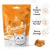 CRUNCHY BİTES KEDİ BİSKÜVİ TAVUKLU