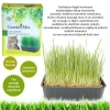 GARDENMIX KEDİ ÇİMİ
