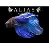 HALFMOON BETA XL ERKEK