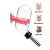 HAMSTER SULUK SY0022