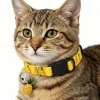 KEDİ ANANASLI TASMA