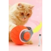 KEDİ ŞARZLI TOP OYUNCAK