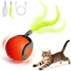KEDİ ŞARZLI TOP OYUNCAK