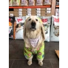 KÖPEK KIYAFETİ