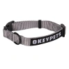 KÖPEK KOLYESİ