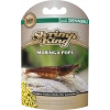 SHRİMPS FOREVER MORİNGA 30 GR