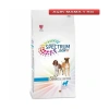 SPECTRUM DERM 26 TÜM IRKLAR YETİŞKİN KÖPEK SOMONLU