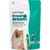 SPECTRUM FRESH BREATH DENTAL LARGE ÇİĞNEME