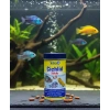TETRA CİCHLİD KOVA