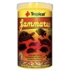 TROPICAL GAMMARUS 12 GR