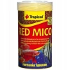 TROPICAL RED MICO(KAN KURDU)
